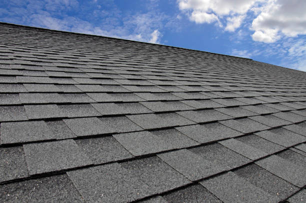 Best Sheet Metal Roofing  in South Houston, TX